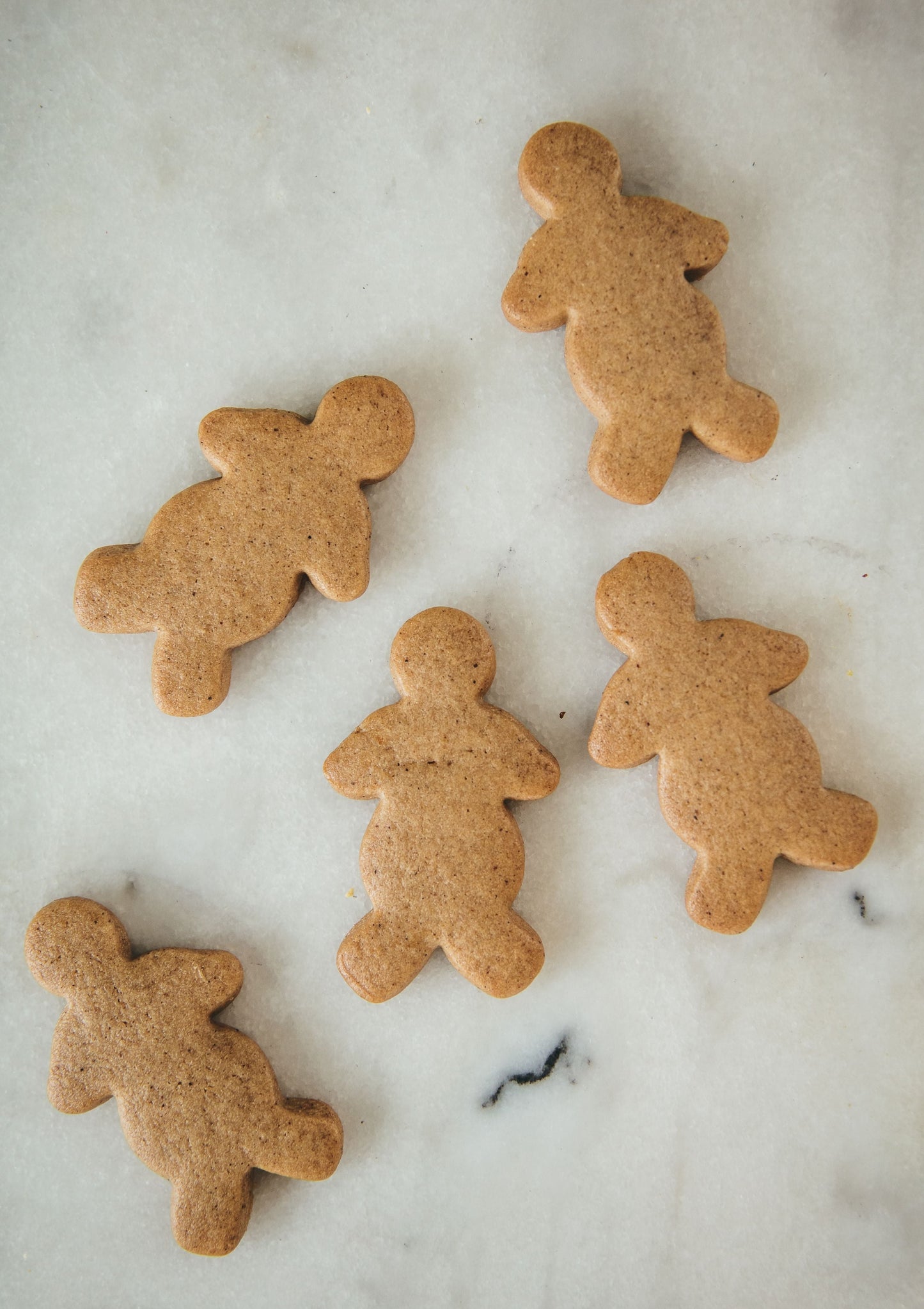 Gingerbread babies