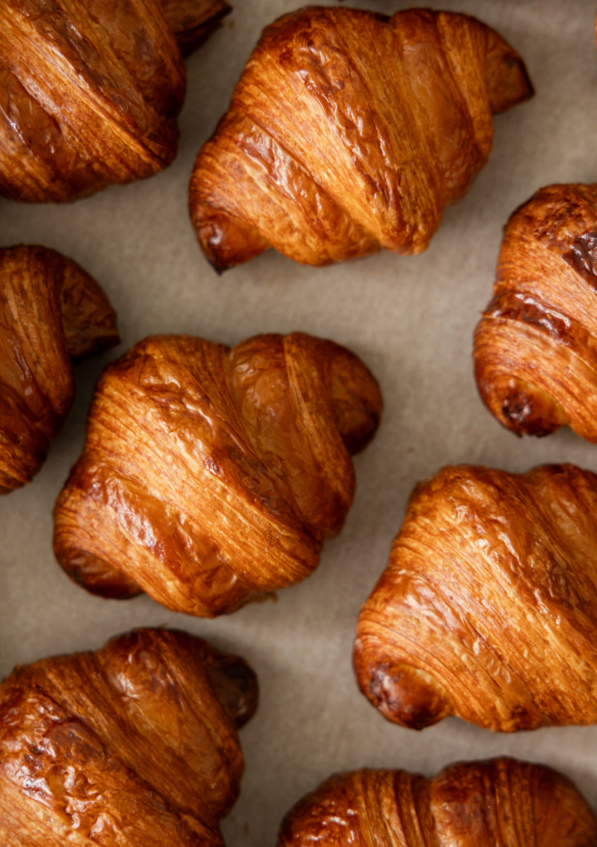 Box of Mini Croissants