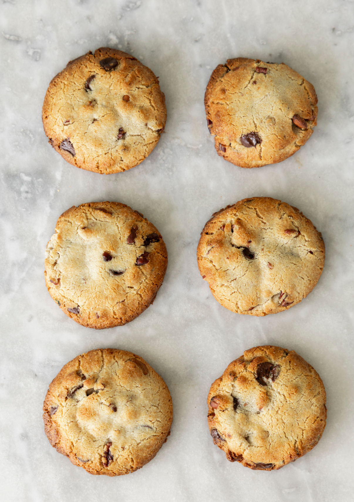 Vegan Choc Pecan Cookie