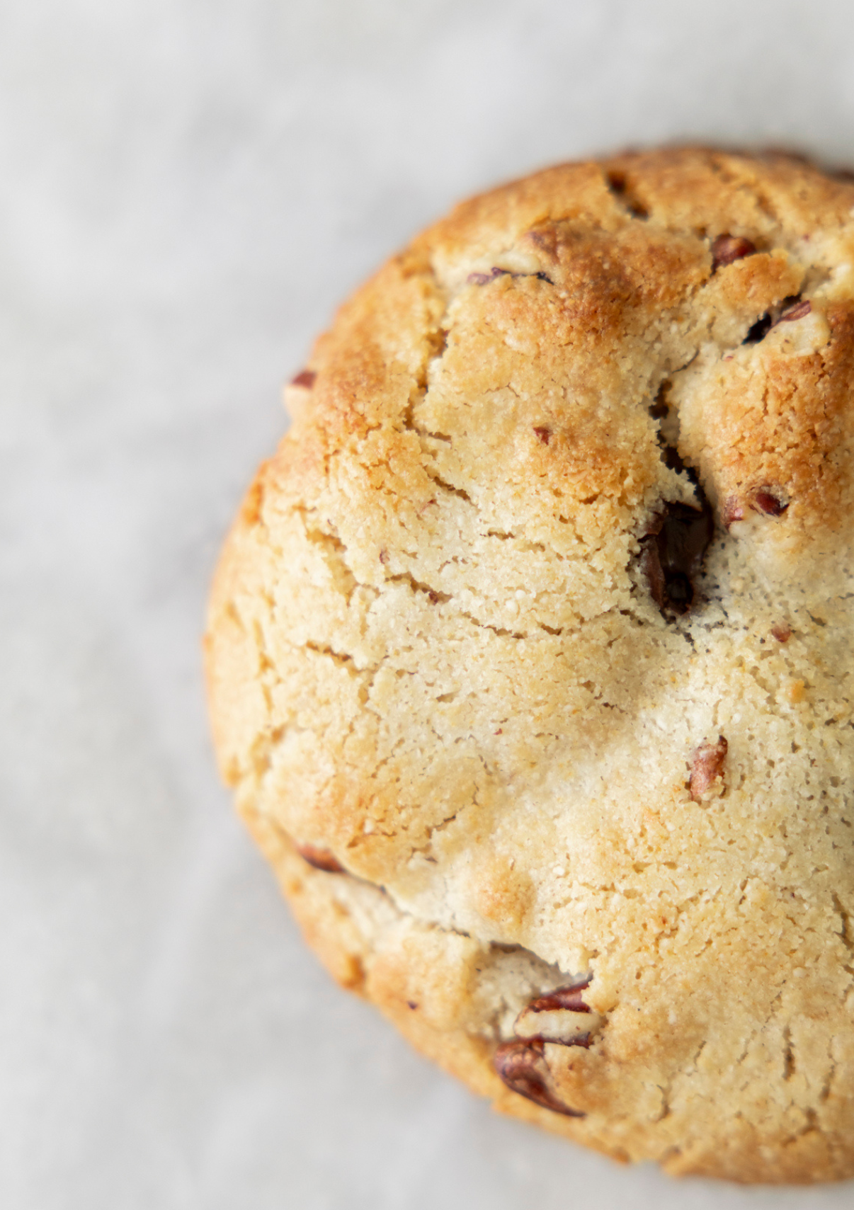 Vegan Choc Pecan Cookie